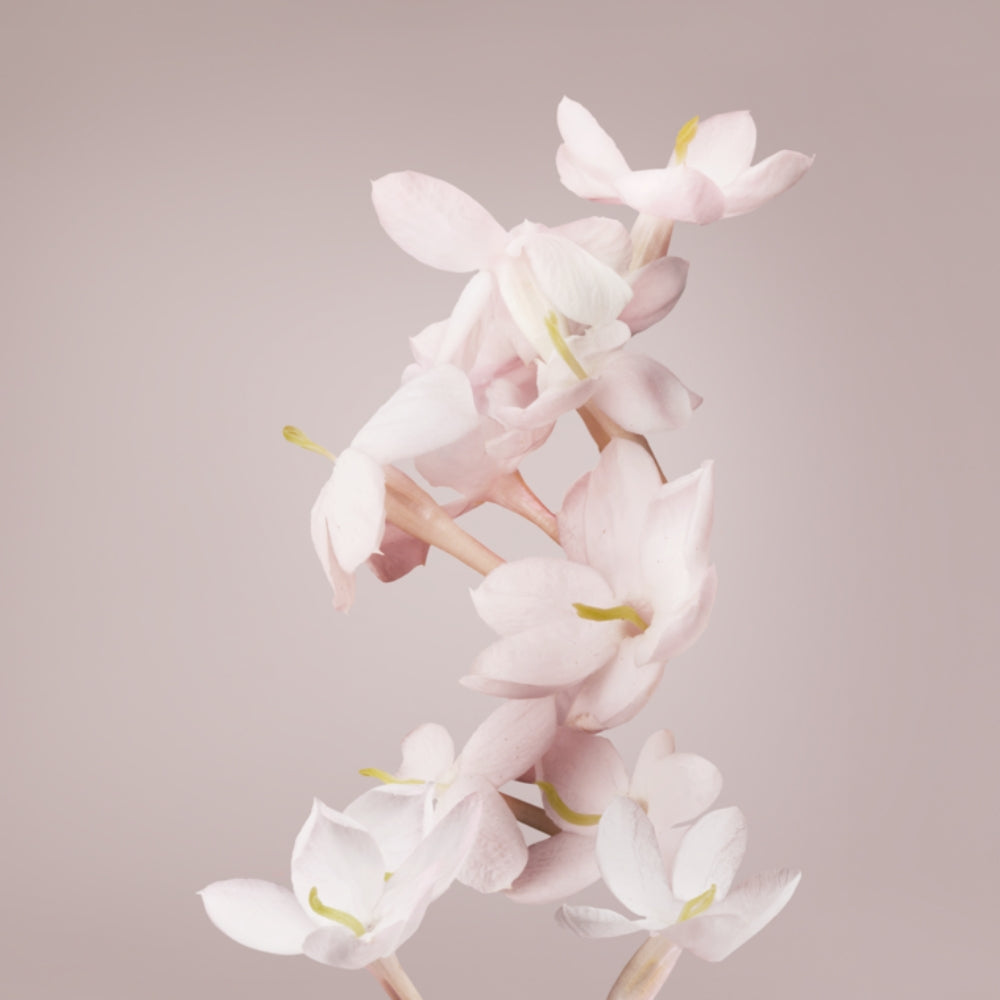 Valentino Valentina Eau De Parfum 100ml