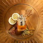 Azzaro Wanted Eau De Toilette 100ml - ambrea shop jo