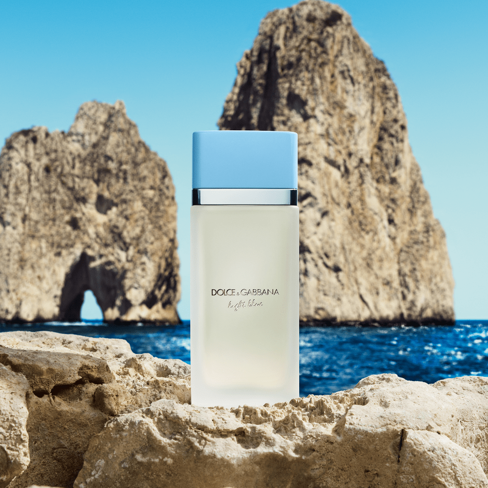 Dolce & Gabbana Light Blue Eau De Toilette 100ml - ambrea shop jo