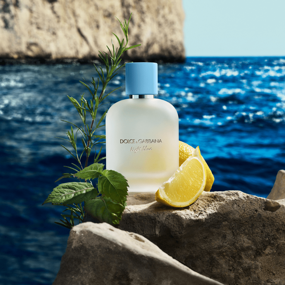 Dolce & Gabbana Light Blue Pour Homme Eau De Toilette 100ml - ambrea shop jo