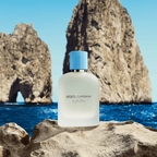 Dolce & Gabbana Light Blue Pour Homme Eau De Toilette 100ml - ambrea shop jo