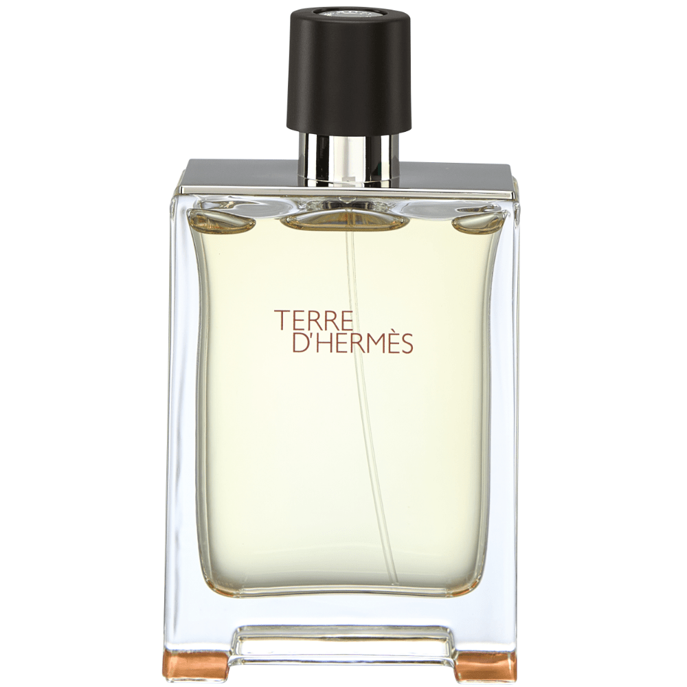 Hermes Terre D'Hermes Eau De Toilette 100ml - ambrea shop jo