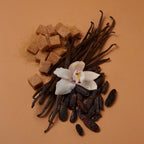 Kayali Vanilla | 28 - ambrea shop jo