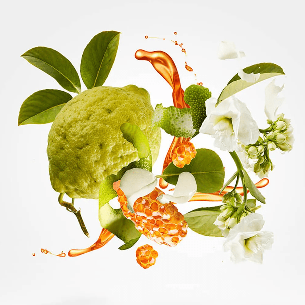 Xerjoff Naxos 1861 - ambrea shop jo